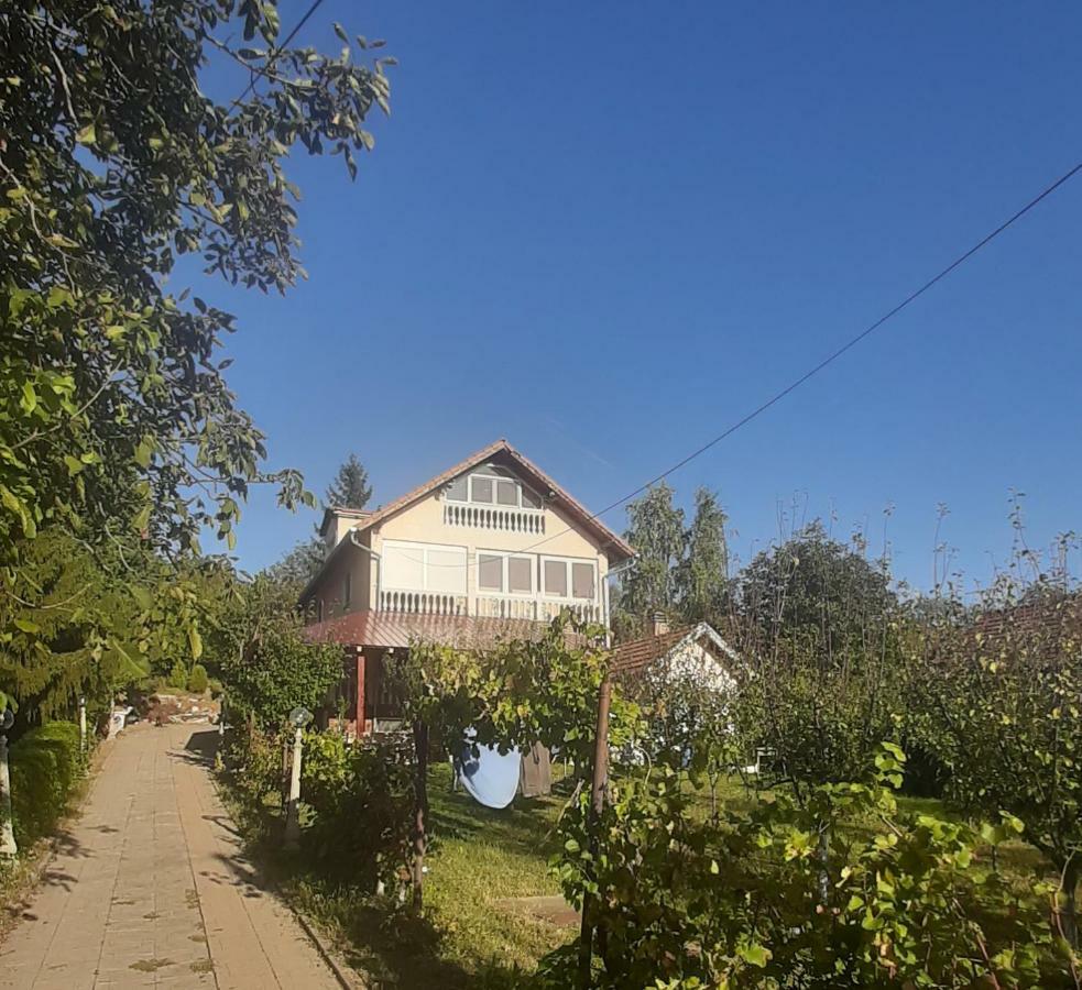 Hotel Aleksandar Vila Br Vrdnik Zewnętrze zdjęcie